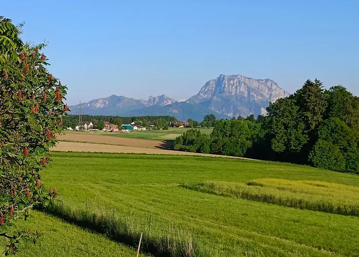 Naehe Traunsee-attersee Ogo Апартаменты Rutzenmoos
