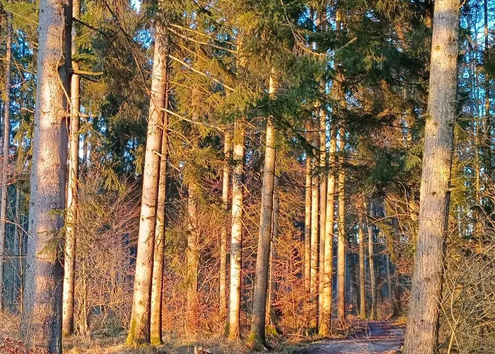 Апартаменты Naehe Traunsee-attersee Ogo Rutzenmoos