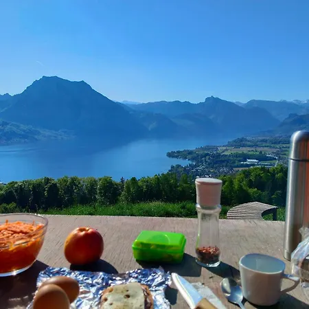 Naehe Traunsee-attersee Ogo Rutzenmoos