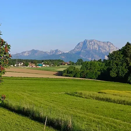 Naehe Traunsee-attersee Ogo Apartmán Rutzenmoos