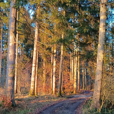 Apartmán Naehe Traunsee-attersee Ogo Rutzenmoos