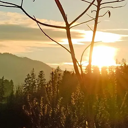 Apartmán Naehe Traunsee-attersee Ogo *