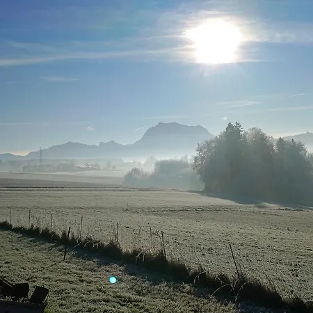 Naehe Traunsee-attersee Ogo Rutzenmoos