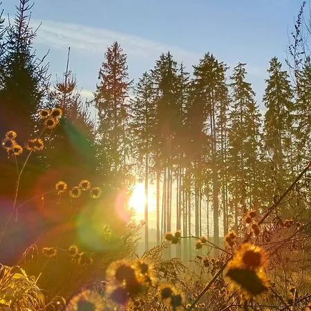 Naehe Traunsee-attersee Ogo * Rutzenmoos