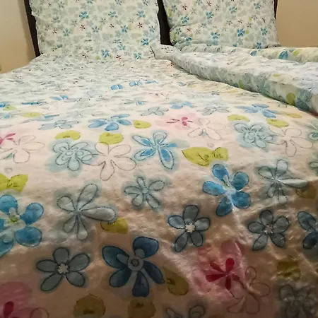 Apartmán Naehe Traunsee-attersee Ogo Rutzenmoos