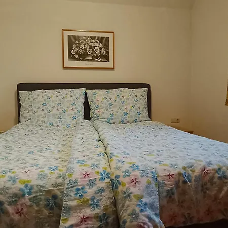 Naehe Traunsee-attersee Ogo Rutzenmoos