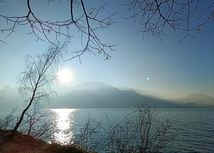 Naehe Traunsee-attersee Ogo *