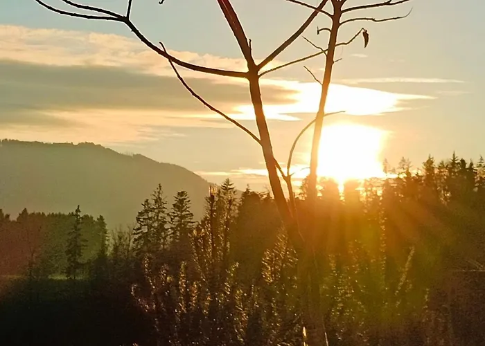 Appartamento Naehe Traunsee-attersee Ogo *