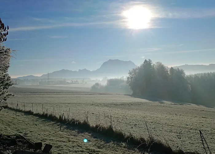 Naehe Traunsee-attersee Ogo Rutzenmoos