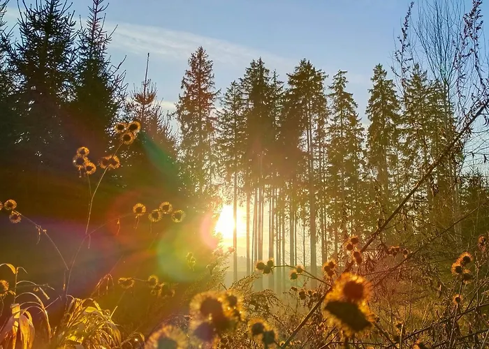 Naehe Traunsee-attersee Ogo * Rutzenmoos
