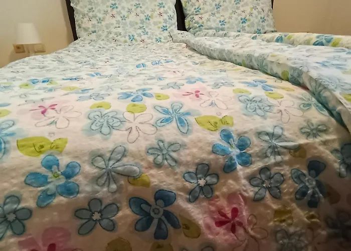 Appartamento Naehe Traunsee-attersee Ogo Rutzenmoos